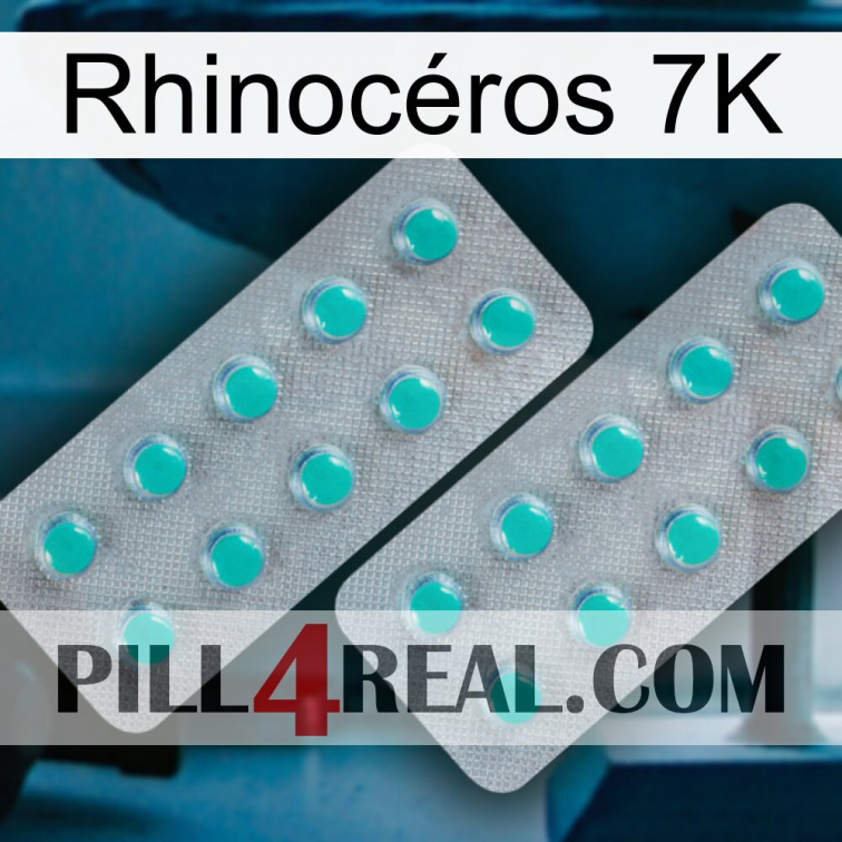 Rhinocéros 7K 29